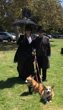 Corgis+humans