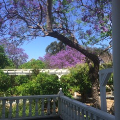 Porch_view